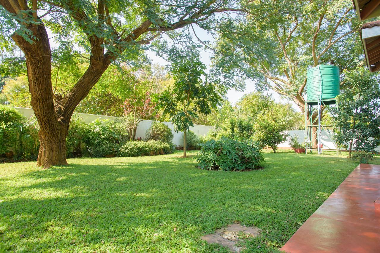 הארארה Art Lodges מראה חיצוני תמונה